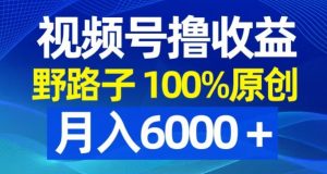 视频号野路子撸收益，100%原创，条条爆款，月入6000＋【揭秘】-八爪鱼资源库