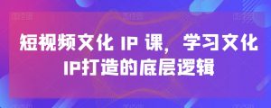 短视频文化IP课,学习文化IP打造的底层逻辑-八爪鱼资源库