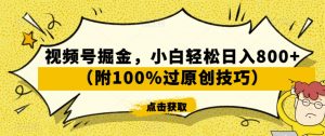 视频号掘金，小白轻松日入800+（附100%过原创技巧）【揭秘】-八爪鱼资源库