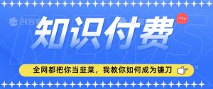2024最新知识付费项目,小白也能轻松入局,全网都在教你做项目,我教你做镰刀【揭秘】-八爪鱼资源库