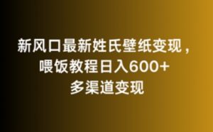新风口最新姓氏壁纸变现，喂饭教程日入600+【揭秘】-八爪鱼资源库