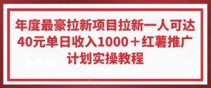 年度最豪拉新项目拉新一人可达40元单日收入1000＋红薯推广计划实操教程【揭秘】-八爪鱼资源库