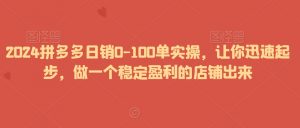 2024拼多多日销0-100单实操,让你迅速起步,做一个稳定盈利的店铺出来-八爪鱼资源库