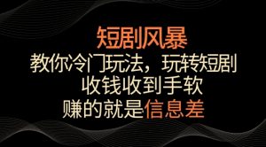 短剧风暴,教你冷门玩法,玩转短剧,收钱收到手软【揭秘】-八爪鱼资源库