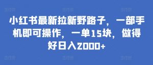 小红书最新拉新野路子,一部手机即可操作,一单15块,做得好日入2000+【揭秘】-八爪鱼资源库