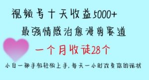 十天收益5000+,多平台捞金,视频号情感治愈漫剪,一个月收徒28个,小白一部手机轻松上手【揭秘】-八爪鱼资源库
