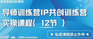 导师训练营3.0IP共创训练营私密实操课程(12节)-卖项目的密码成功秘诀【揭秘】-八爪鱼资源库