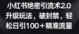 小红书绝密引流术2.0升级玩法,破封禁,轻松日引100+精准流量【揭秘】-八爪鱼资源库
