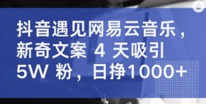 抖音遇见网易云音乐，新奇文案 4 天吸引 5W 粉，日挣1000+【揭秘】-八爪鱼资源库