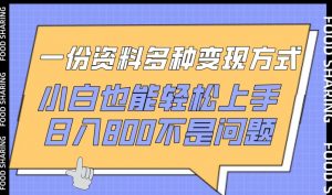 一份资料多种变现方式,小白也能轻松上手,日入800不是问题【揭秘】-八爪鱼资源库