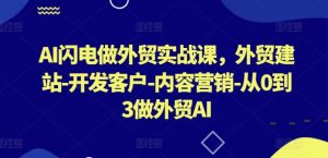 AI闪电做外贸实战课,外贸建站-开发客户-内容营销-从0到3做外贸AI-八爪鱼资源库