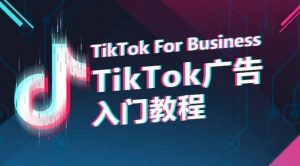 TikTok广告入门教程，从0到1掌握TikTok投放的全流程-八爪鱼资源库