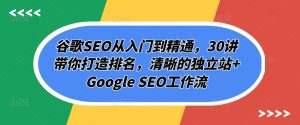 谷歌SEO从入门到精通,30讲带你打造排名,清晰的独立站+Google SEO工作流-八爪鱼资源库