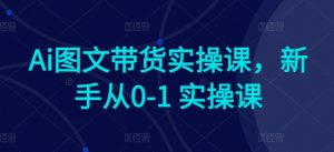 Ai图文带货实操课,新手从0-1 实操课-八爪鱼资源库