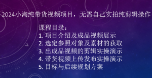 2024小淘纯带货视频项目,无需自己实拍纯剪辑操作-八爪鱼资源库