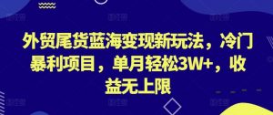 外贸尾货蓝海变现新玩法,冷门暴利项目,单月轻松3W+,收益无上限【揭秘】-八爪鱼资源库