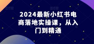 2024最新小红书电商落地实操课,从入门到精通-八爪鱼资源库