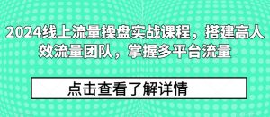 2024线上流量操盘实战课程,搭建高人效流量团队,掌握多平台流量-八爪鱼资源库