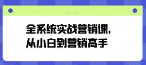 全系统实战营销课,从小白到营销高手-八爪鱼资源库