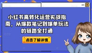 小红书高转化运营实战指南,从爆款笔记到爆单玩法的链路全打通-八爪鱼资源库