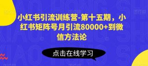 小红书引流训练营-第十五期,小红书矩阵号月引流80000+到微信方法论-八爪鱼资源库