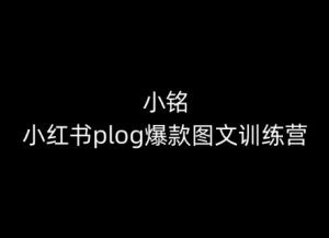 小铭-小红书plog爆款图文训练营,教你从0-1做小红书-八爪鱼资源库