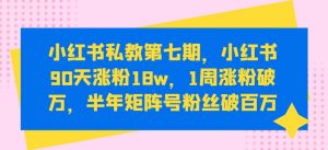 小红书私教第七期,小红书90天涨粉18w,1周涨粉破万,半年矩阵号粉丝破百万-八爪鱼资源库