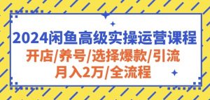 2024闲鱼高级实操运营课程:开店/养号/选择爆款/引流/月入2万/全流程-八爪鱼资源库
