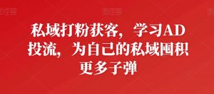 私域打粉获客,学习AD投流,为自己的私域囤积更多子弹-八爪鱼资源库