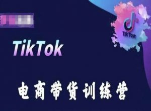 TikTok电商带货训练营，跟随时代潮流，跨境掘金-八爪鱼资源库