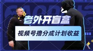 老外开盲盒视频，撸视频号分成计划收益，每天只需一小时，新手小白轻松上手【揭秘】-八爪鱼资源库