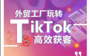 外贸工厂玩转TikTok高效获客,多种引流方式与账号定位技巧,拆解爆款短视频打造成功案例-八爪鱼资源库