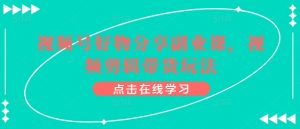 视频号好物分享副业课,视频剪辑带货玩法-八爪鱼资源库