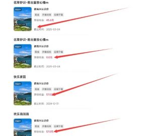 磁力聚星游戏副业陪跑训练营1.0,长期稳定项目,有人一周干了1K+-八爪鱼资源库