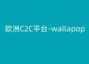 欧洲C2C平台-wallapop-kim跨境电商教程-八爪鱼资源库