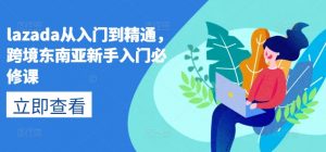 lazada从入门到精通,跨境东南亚新手入门必修课-八爪鱼资源库