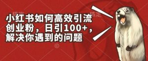 小红书如何高效引流创业粉，日引100+，解决你遇到的问题【揭秘】-八爪鱼资源库