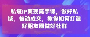 私域IP变现高手课,做好私域,被动成交,教你如何打造好朋友圈做好社群-八爪鱼资源库