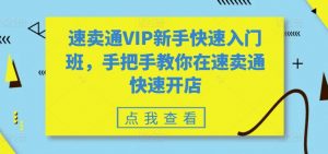 速卖通VIP新手快速入门班,手把手教你在速卖通快速开店-八爪鱼资源库