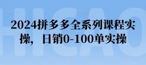 2024拼多多全系列课程实操，日销0-100单实操【必看】-八爪鱼资源库