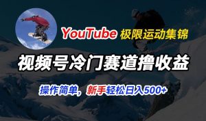 视频号冷门赛道撸收益，YouTube搬运极限运动集锦，暴力起号，操作简单流量高，轻松日入5张【揭秘】-八爪鱼资源库