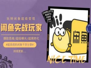 手把手教你0到1系统玩转闲鱼变现,爆款思维/超级曝光/超高转化-八爪鱼资源库