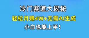 冷门赛道大揭秘,轻松月赚1W+无需AI生成,小白也能上手【揭秘】-八爪鱼资源库
