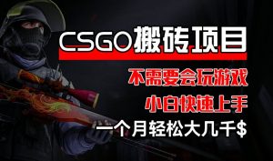 CSGO 装备搬砖项目，操作简单，不需要会玩游戏，小白也能快速上手，一个月轻松大几千【揭秘】-八爪鱼资源库