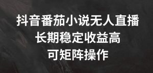 抖音番茄小说无人直播,长期稳定收益高,可矩阵操作【揭秘】-八爪鱼资源库