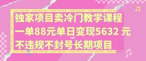 独家项目卖冷门教学课程一单88元单日变现5632元违规不封号长期项目【揭秘】-八爪鱼资源库