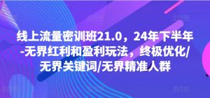 线上流量密训班21.0,24年下半年-无界红利和盈利玩法,终极优化/无界关键词/无界精准人群-八爪鱼资源库