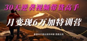 30天逆袭视频带货高手,单月变现6万加特训营-麦子甜-八爪鱼资源库