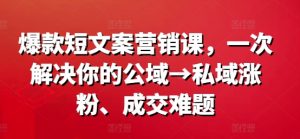爆款短文案营销课,一次解决你的公域→私域涨粉、成交难题-八爪鱼资源库