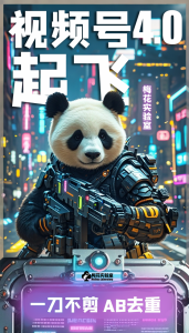 梅花实验窒微信视频号连怼玩法技巧起飞4.0一键AB破解版【揭秘】-八爪鱼资源库